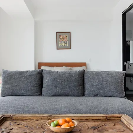 C302 1Br - 1Bth Apartment