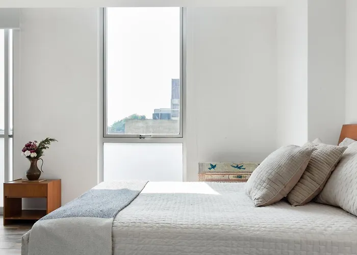 C302 1br - 1bth Apartment Mexico City