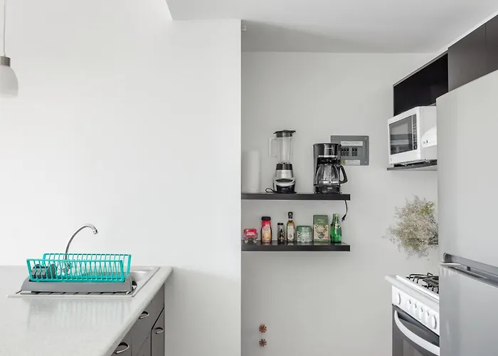 C302 1br - 1bth Apartment Mexico City